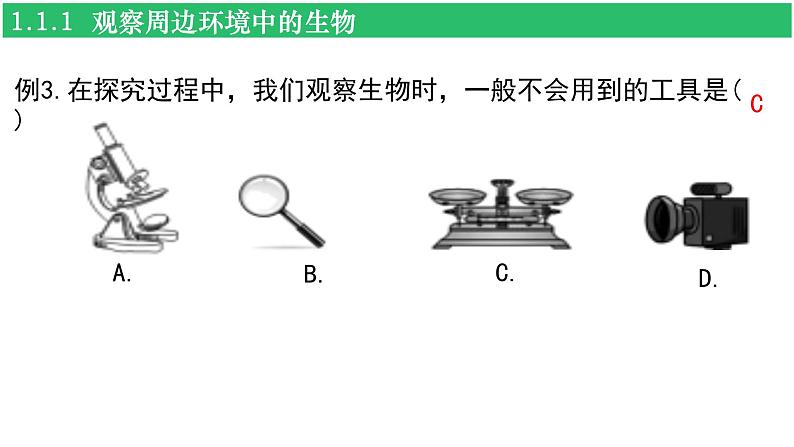 人教版（2024新版）七年级上册生物第一单元 生物和细胞 复习课件05