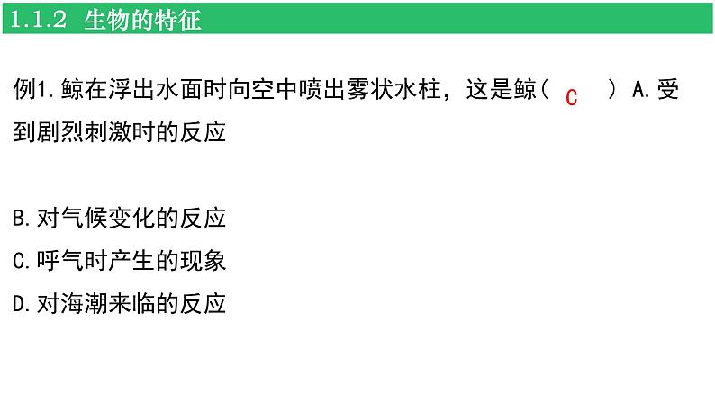 人教版（2024新版）七年级上册生物第一单元 生物和细胞 复习课件07