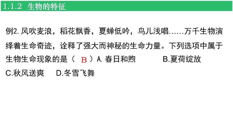 人教版（2024新版）七年级上册生物第一单元 生物和细胞 复习课件08