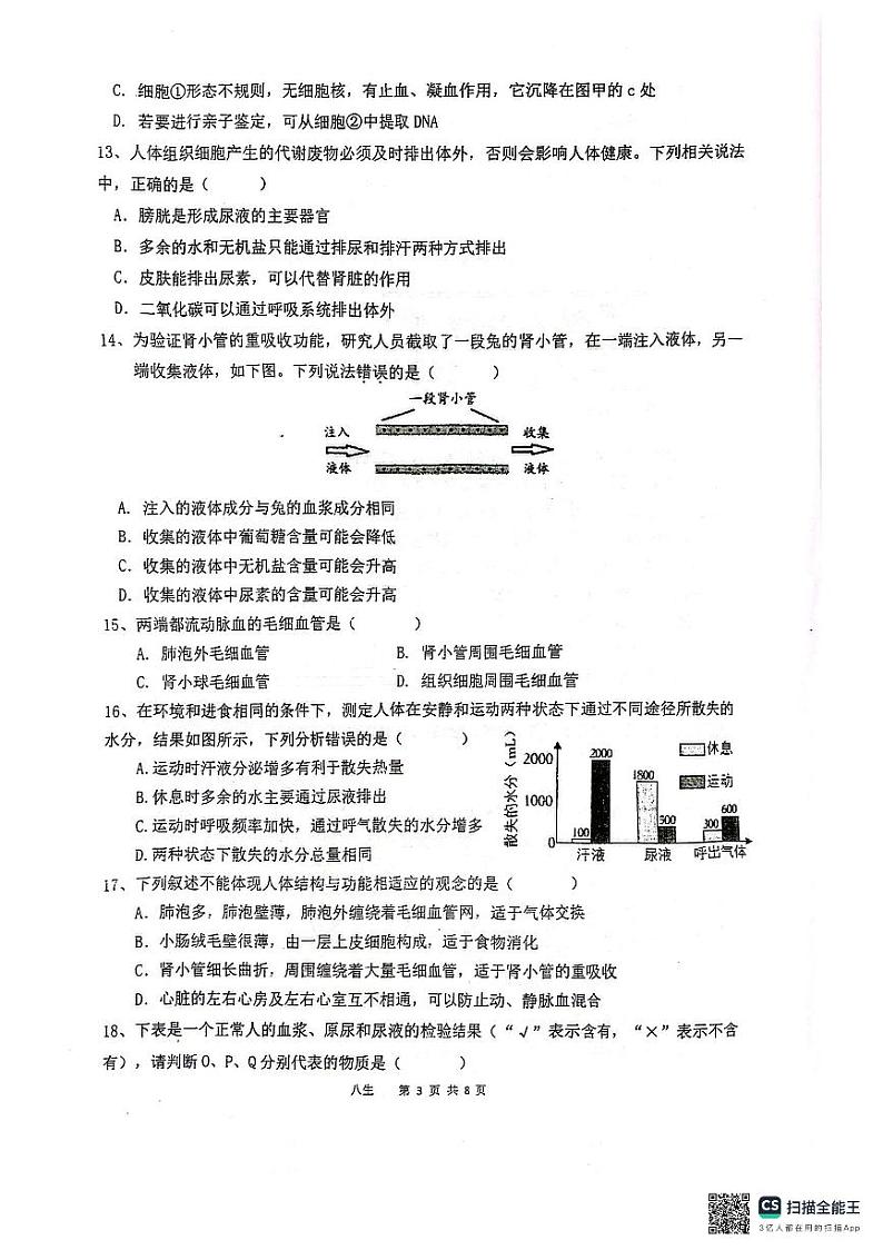 江苏省泰州市靖江市滨江学校2024-2025学年八年级上学期10月月考生物试题03