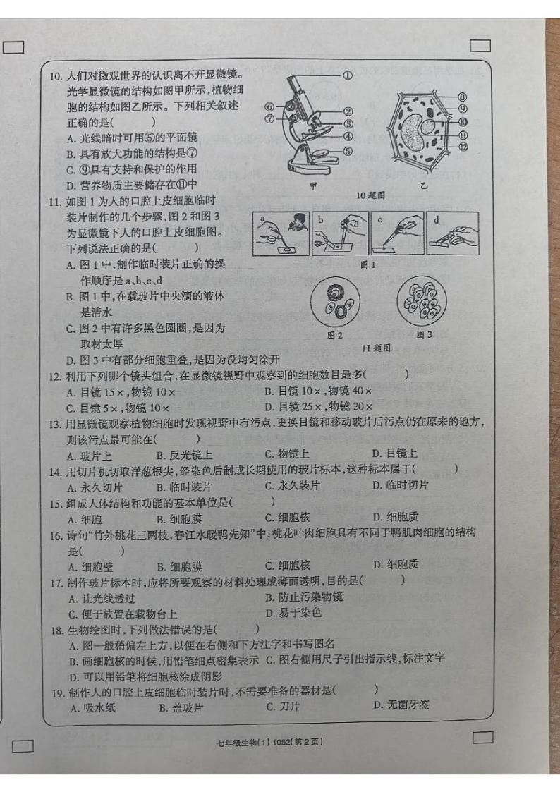 河南省新乡市原阳县路寨乡贾村实验学校2024-2025学年七年级上学期10月月考生物试题第2页