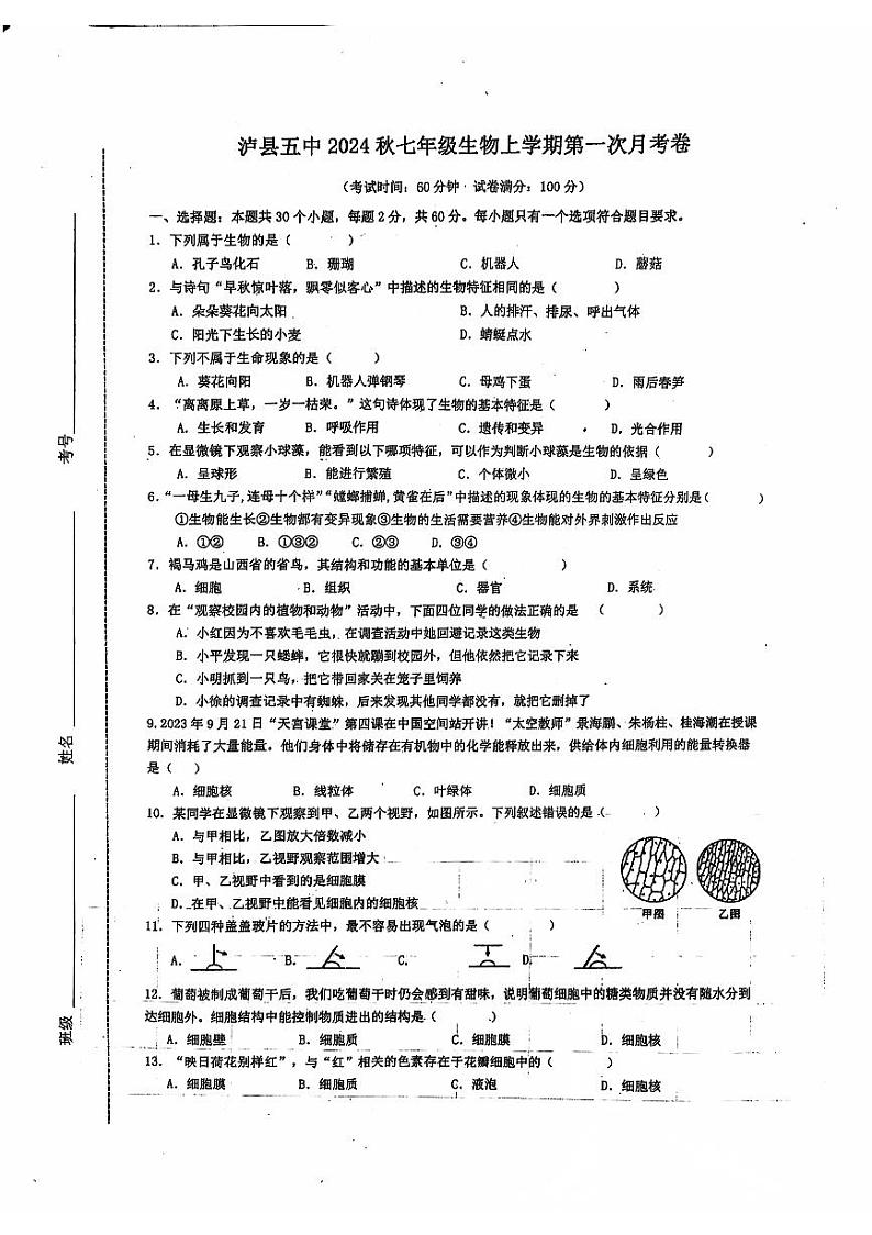 四川省泸县第五中学2024-2025学年七年级上学期10月月考生物试题01