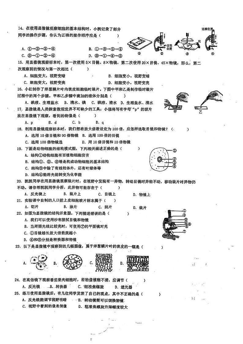 四川省泸县第五中学2024-2025学年七年级上学期10月月考生物试题02