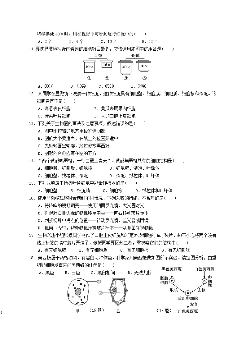 2024年七年级上期第一次生物月考第2页