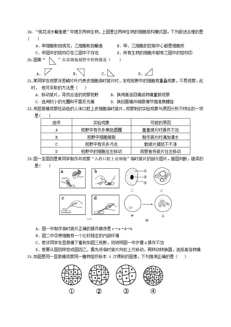 2024年七年级上期第一次生物月考第3页