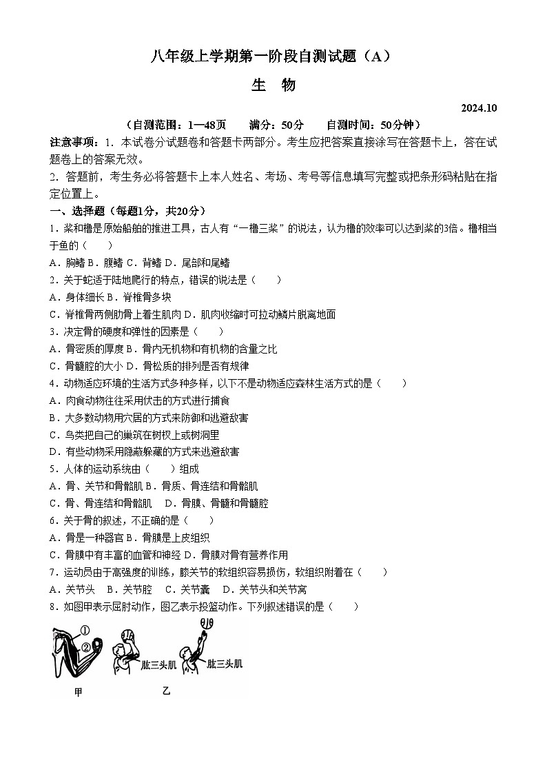 河南省安阳市滑县2024-2025学年八年级上学期10月月考生物试题01
