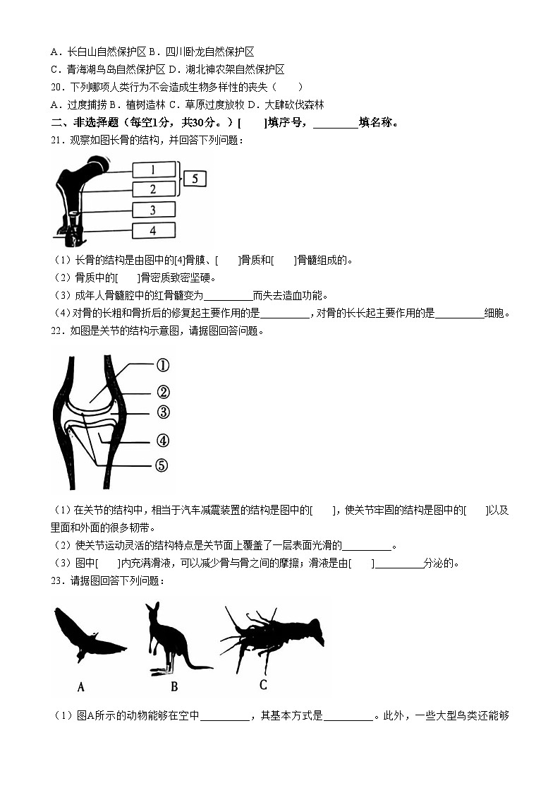 河南省安阳市滑县2024-2025学年八年级上学期10月月考生物试题03