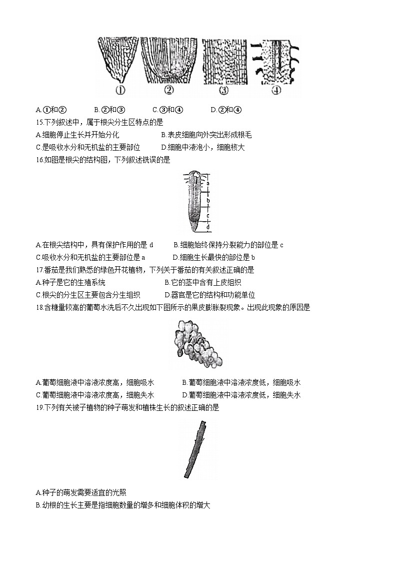 河北省邢台市南宫市2024-2025学年八年级上学期10月月考生物试卷第3页