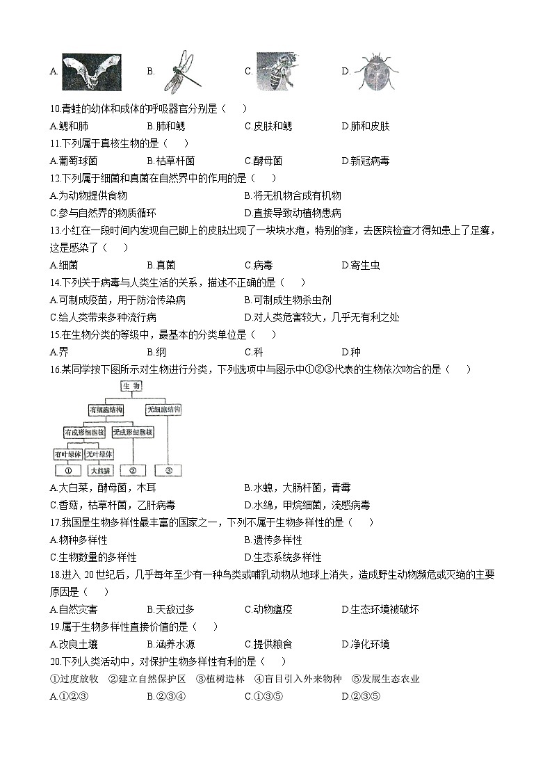 河南省周口市太康县2024-2025学年八年级上学期10月月考生物试题第2页