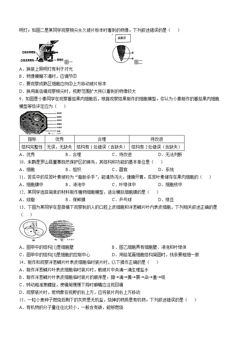 河南省信阳市罗山县实验中学2024-2025学年七年级上学期10月月考生物试题(无答案)第2页