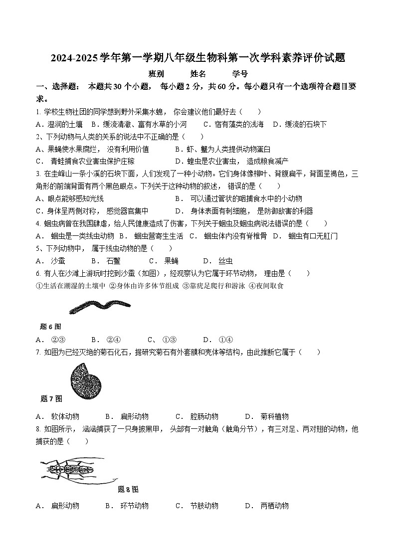 广东省江门市怡福中学2024-2025学年八年级上学期第一次月考生物试题(无答案)第1页