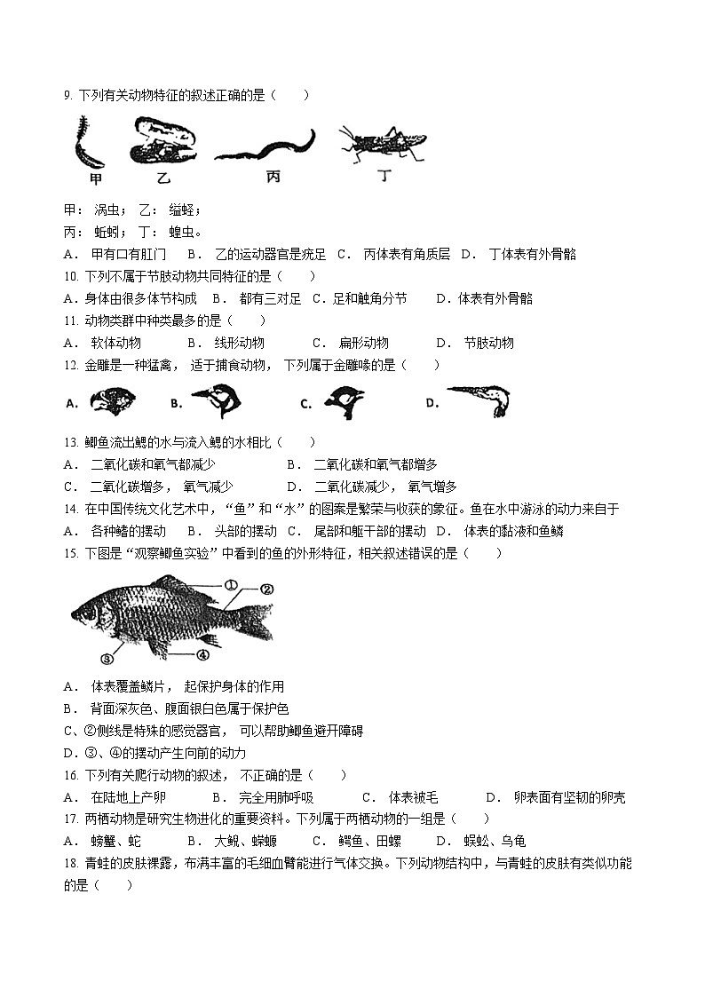 广东省江门市怡福中学2024-2025学年八年级上学期第一次月考生物试题(无答案)第2页