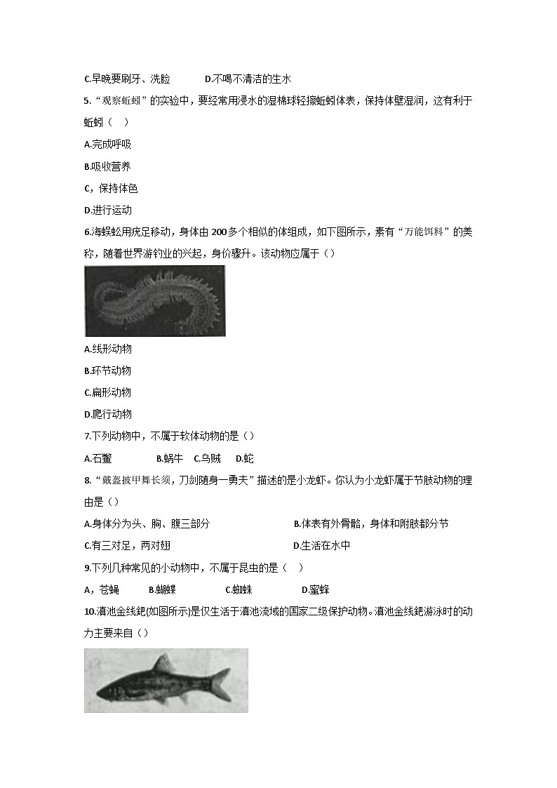 云南省曲靖市麒麟区第四中学2024-2025学年八年级上学期10月份第一次月考生物学试卷第2页