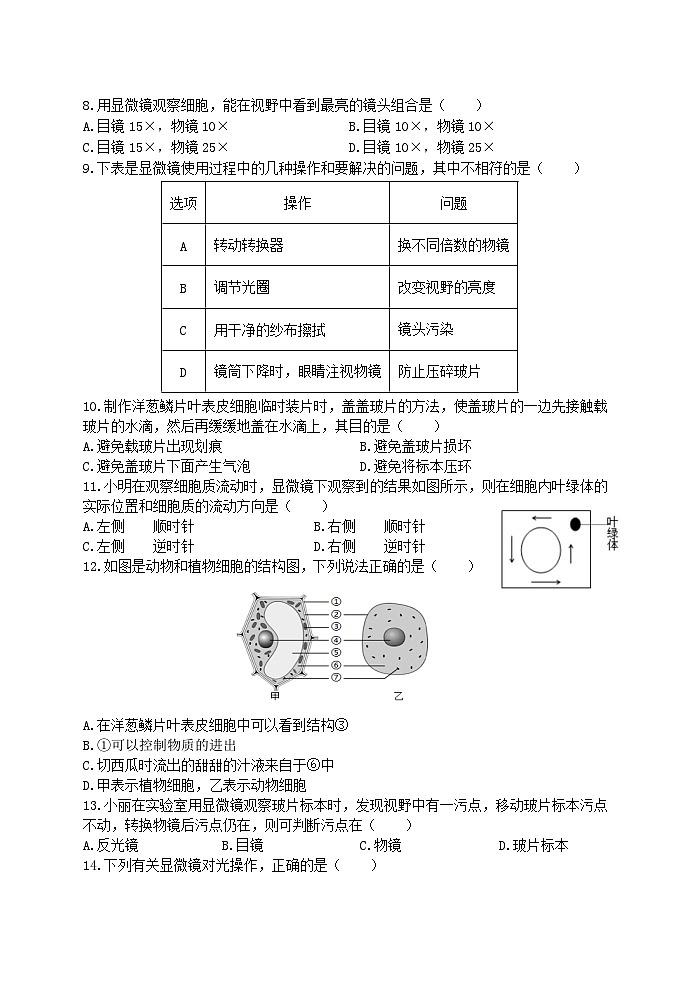 七年级第一次练习2024.10第2页