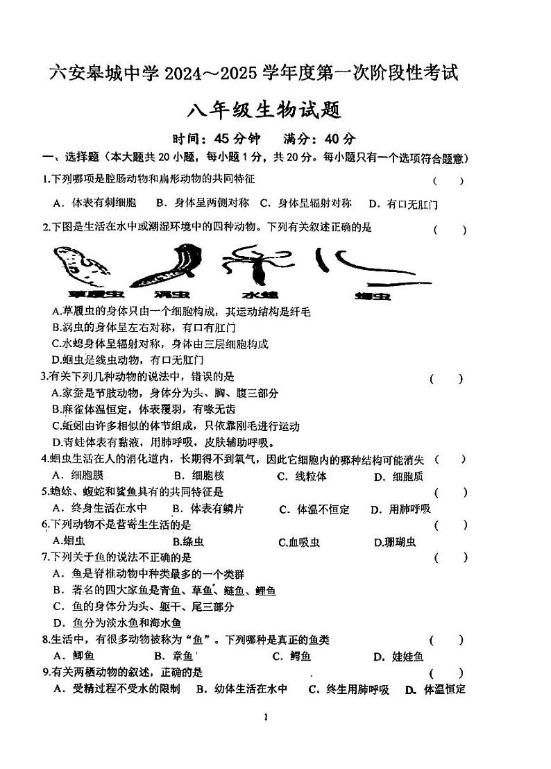 安徽省六安市金安区六安皋城中学2024-2025学年八年级上学期10月月考生物试题01