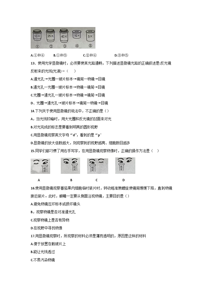 云南省曲靖市麒麟区第四中学2024--2025学年七年级上学期10月第一次月考生物试卷第3页