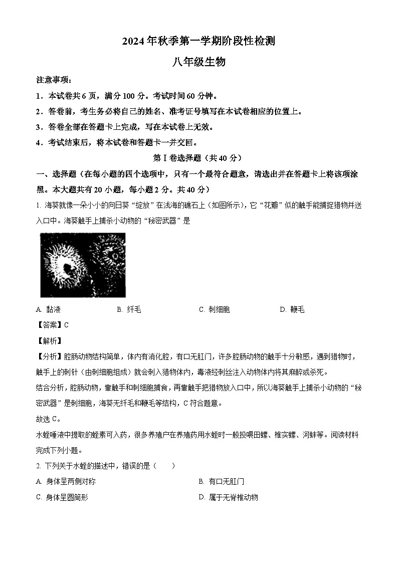 山西省吕梁市孝义市多校2024-2025学年八年级10月月考生物学试题（解析版）第1页
