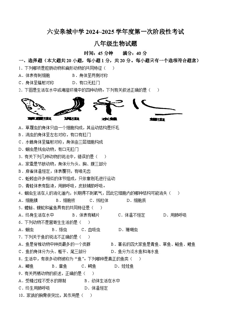 安徽省六安市金安区六安皋城中学2024-2025学年八年级上学期10月月考生物试题01
