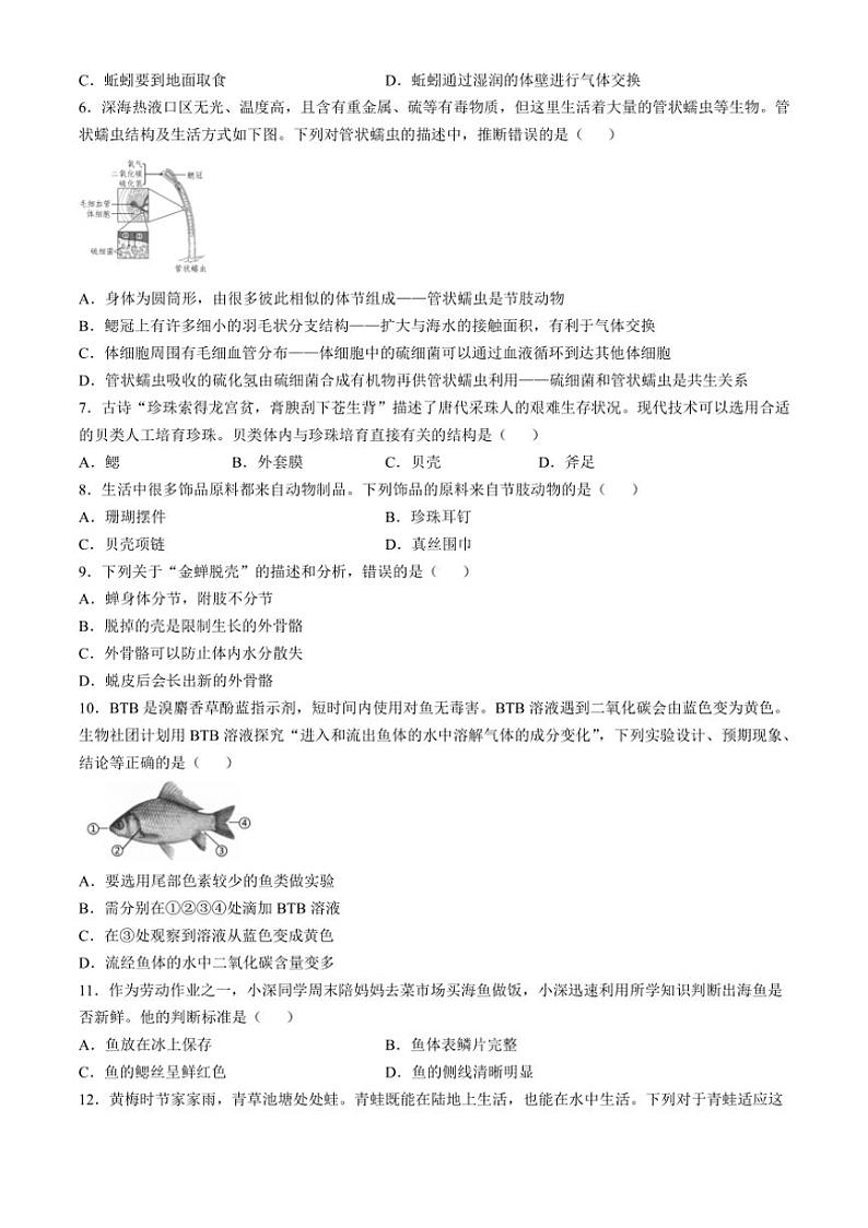 [生物]广东省深圳市龙岗区2024～2025学年八年级上学期10月学情诊断月考联考试卷(有答案)02