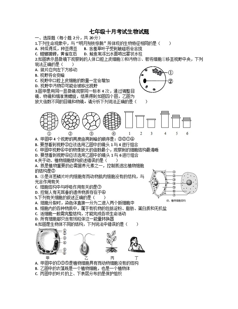 湖北省荆门市沙洋县纪山中学2024-2025学年七年级上学期第一次月考生物试卷第1页
