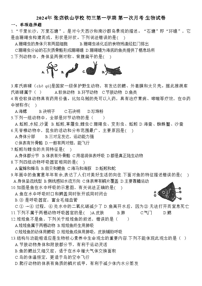 山东省淄博市张店区铁山学校2024-2025学年八年级上学期10月月考生物试题第1页