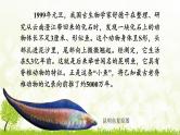 【核心素养目标】第二单元多种多样的生物第二章动物的类群第一节无脊椎动物课件+配套教案2024人教版生物七年级上册