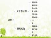 【核心素養(yǎng)目標(biāo)】第二單元多種多樣的生物第二章動(dòng)物的類(lèi)群第一節(jié)無(wú)脊椎動(dòng)物課件+配套教案2024人教版生物七年級(jí)上冊(cè)