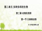 【核心素養(yǎng)目標(biāo)】第二單元多種多樣的生物第二章動(dòng)物的類(lèi)群第一節(jié)無(wú)脊椎動(dòng)物課件+配套教案2024人教版生物七年級(jí)上冊(cè)