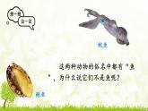 【核心素養(yǎng)目標(biāo)】第二單元多種多樣的生物第二章動(dòng)物的類(lèi)群第一節(jié)無(wú)脊椎動(dòng)物課件+配套教案2024人教版生物七年級(jí)上冊(cè)