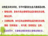 【核心素養(yǎng)目標(biāo)】第二單元多種多樣的生物第二章動(dòng)物的類(lèi)群第一節(jié)無(wú)脊椎動(dòng)物課件+配套教案2024人教版生物七年級(jí)上冊(cè)