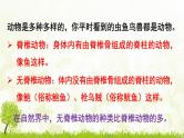 【核心素养目标】第二单元多种多样的生物第二章动物的类群第一节无脊椎动物课件+配套教案2024人教版生物七年级上册