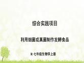 【核心素养目标】第三章微生物综合实践项目利用细菌或真菌制作发酵食品课件+配套教案2024人教版生物七年级上册
