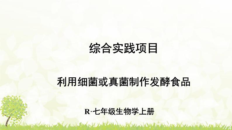 【核心素养目标】第三章微生物综合实践项目利用细菌或真菌制作发酵食品课件+配套教案2024人教版生物七年级上册01