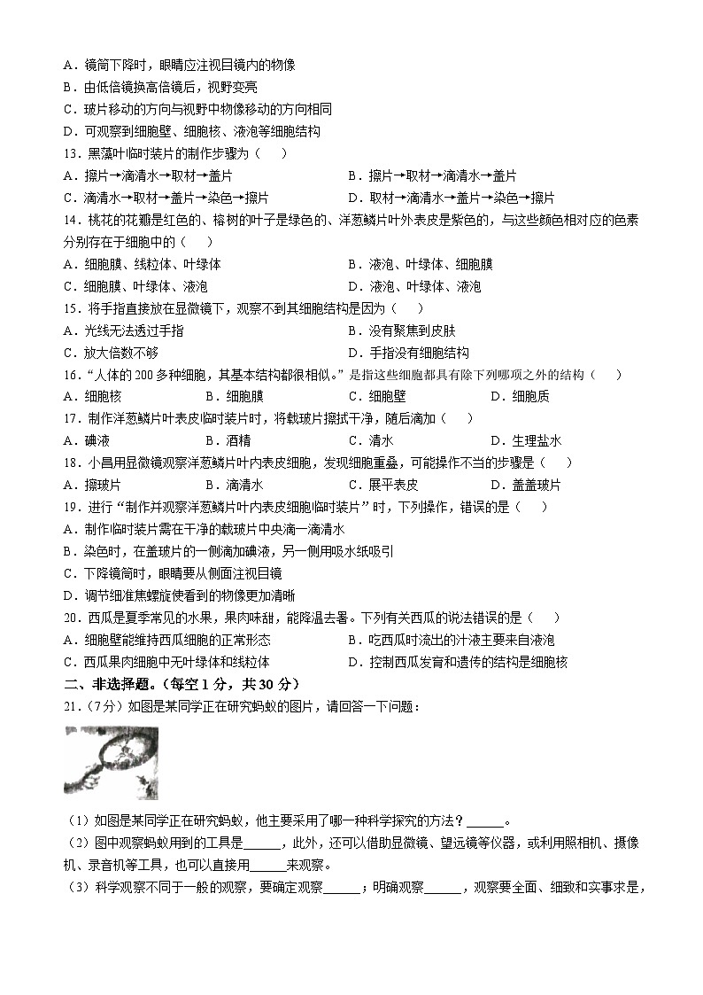 河南省周口市郸城县2024-2025学年七年级上学期第一次月考生物试卷(无答案)02
