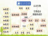 【核心素养目标】第一单元生物和细胞单元小结核心素养课件2024新人教版生物七年级上册