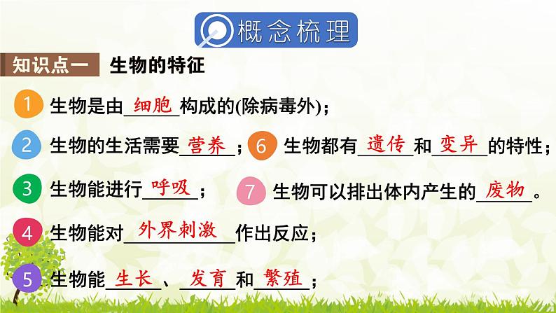 【核心素养目标】第一单元生物和细胞单元小结核心素养课件2024新人教版生物七年级上册第3页