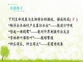 【核心素养目标】第一单元生物和细胞单元小结核心素养课件2024新人教版生物七年级上册
