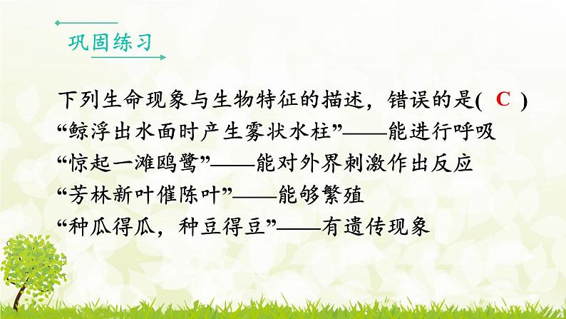 【核心素养目标】第一单元生物和细胞单元小结核心素养课件2024新人教版生物七年级上册第4页