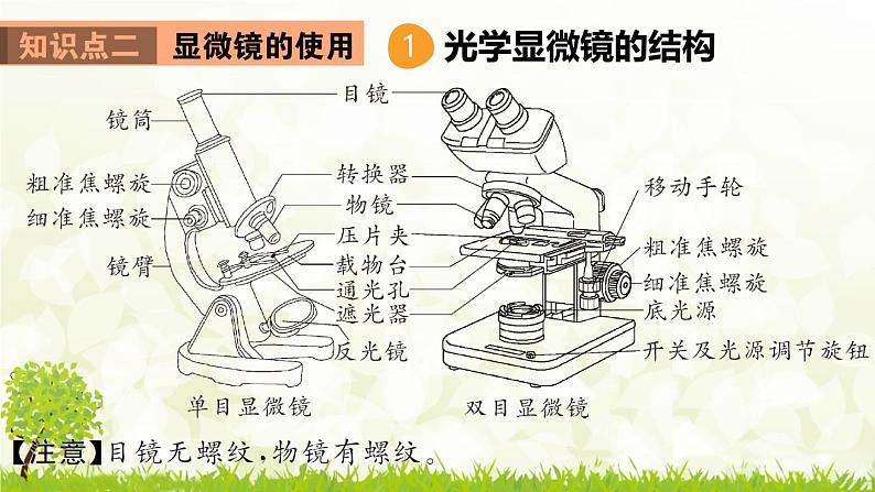 【核心素养目标】第一单元生物和细胞单元小结核心素养课件2024新人教版生物七年级上册第5页