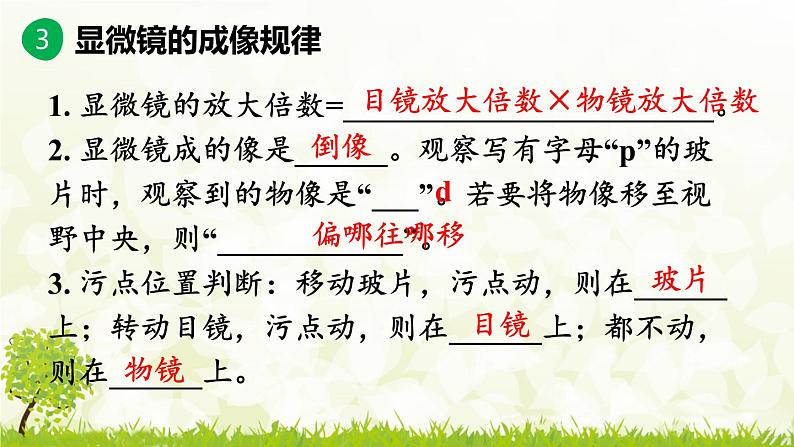 【核心素养目标】第一单元生物和细胞单元小结核心素养课件2024新人教版生物七年级上册第8页