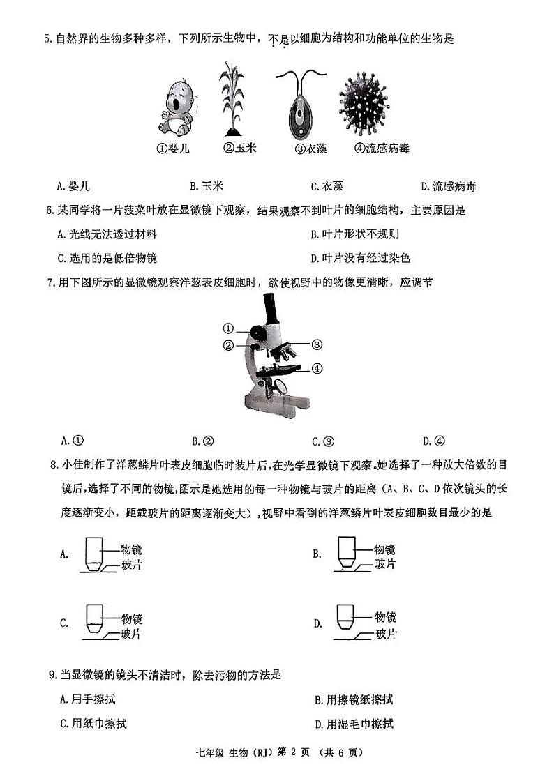 广西南宁市青秀区凤岭南路中学2024-2025学年七年级上学期10月月考生物试题第2页