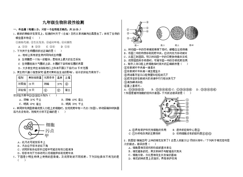 山东省菏泽市牡丹区2024-2025学年九年级九年级上学期生物月考试题第1页