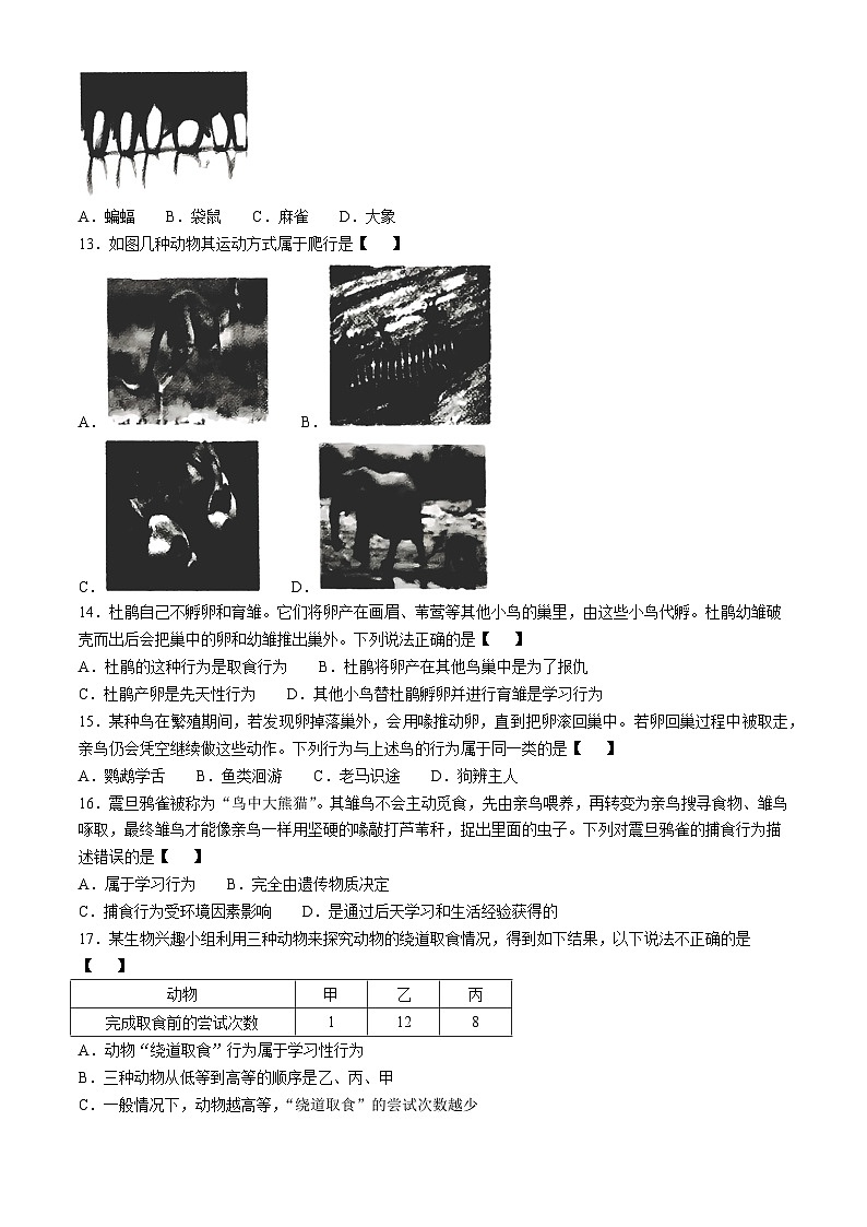 河南省驻马店市确山县部分中学2024-2025学年八年级上学期10月月考生物试题第3页