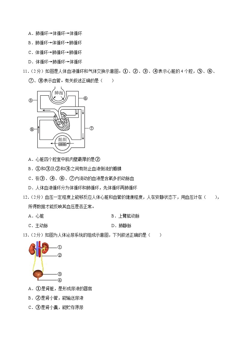 江苏省扬州市仪征市2023-2024学年八年级上学期期中考试生物试卷03
