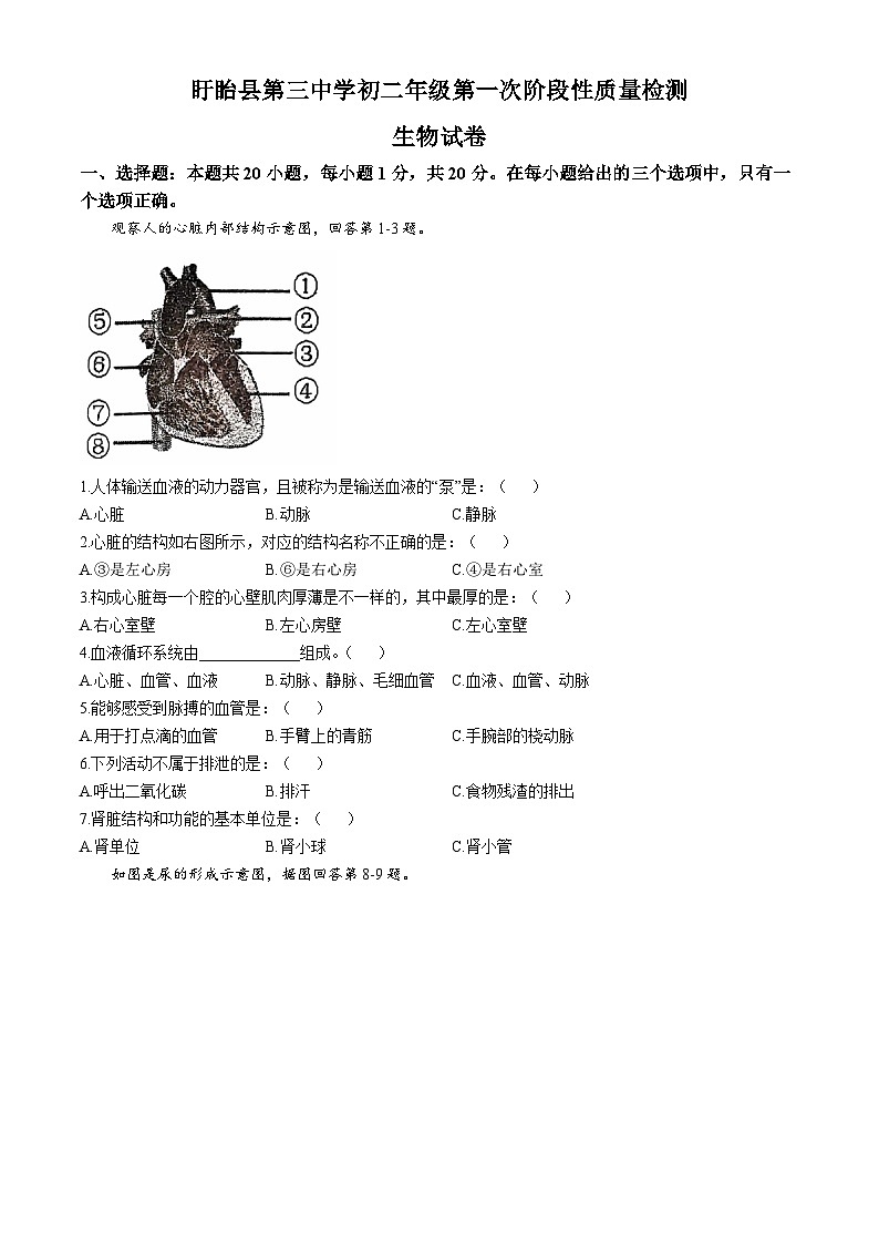 江苏省淮安市盱眙县第三中学2024-2025学年八年级上学期10月月考生物试题(无答案)第1页
