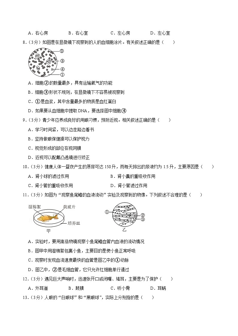 江苏省宿迁市宿城区2023-2024学年八年级上学期期中考试生物试卷第2页