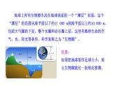 1.1.1 形形色色的生物 课件----2024-2025学年北师大（2024版）七年级生物上册
