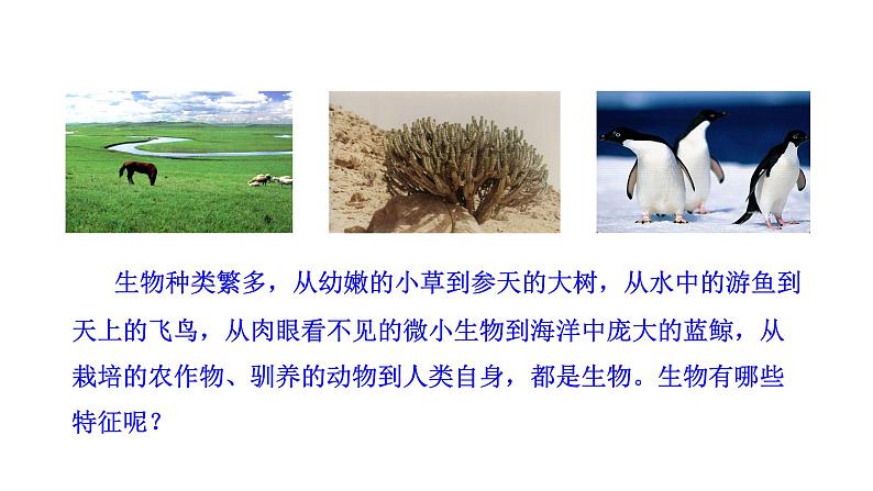 1.1.1 形形色色的生物 课件----2024-2025学年北师大（2024版）七年级生物上册第3页