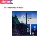 1.1.1 形形色色的生物课件  -2024-2025学年北师大（2024版）七年级生物上册