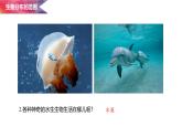 1.1.1 形形色色的生物课件  -2024-2025学年北师大（2024版）七年级生物上册